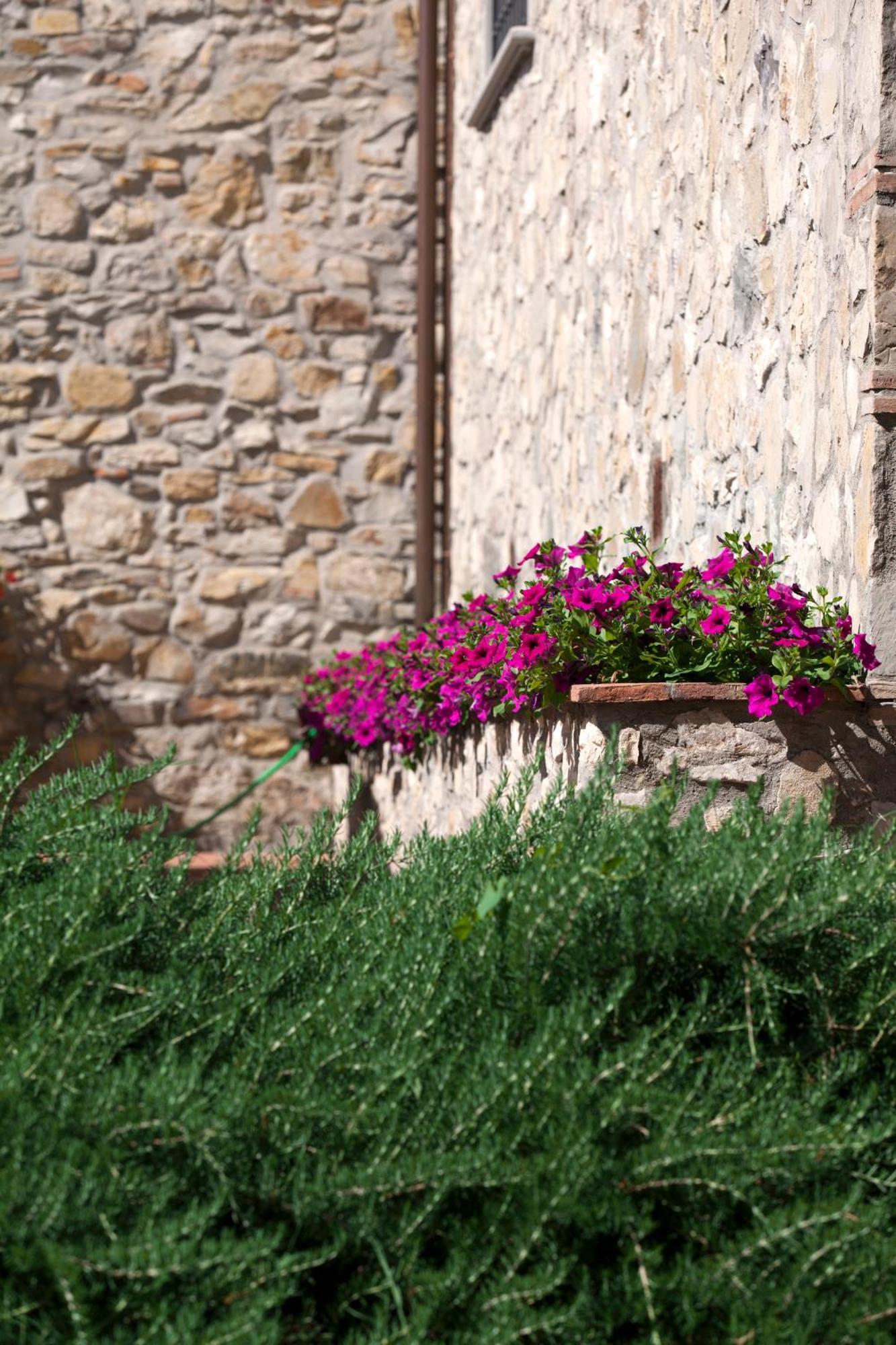 Agriturismo La Casa Di Rodo Quarrata Kültér fotó
