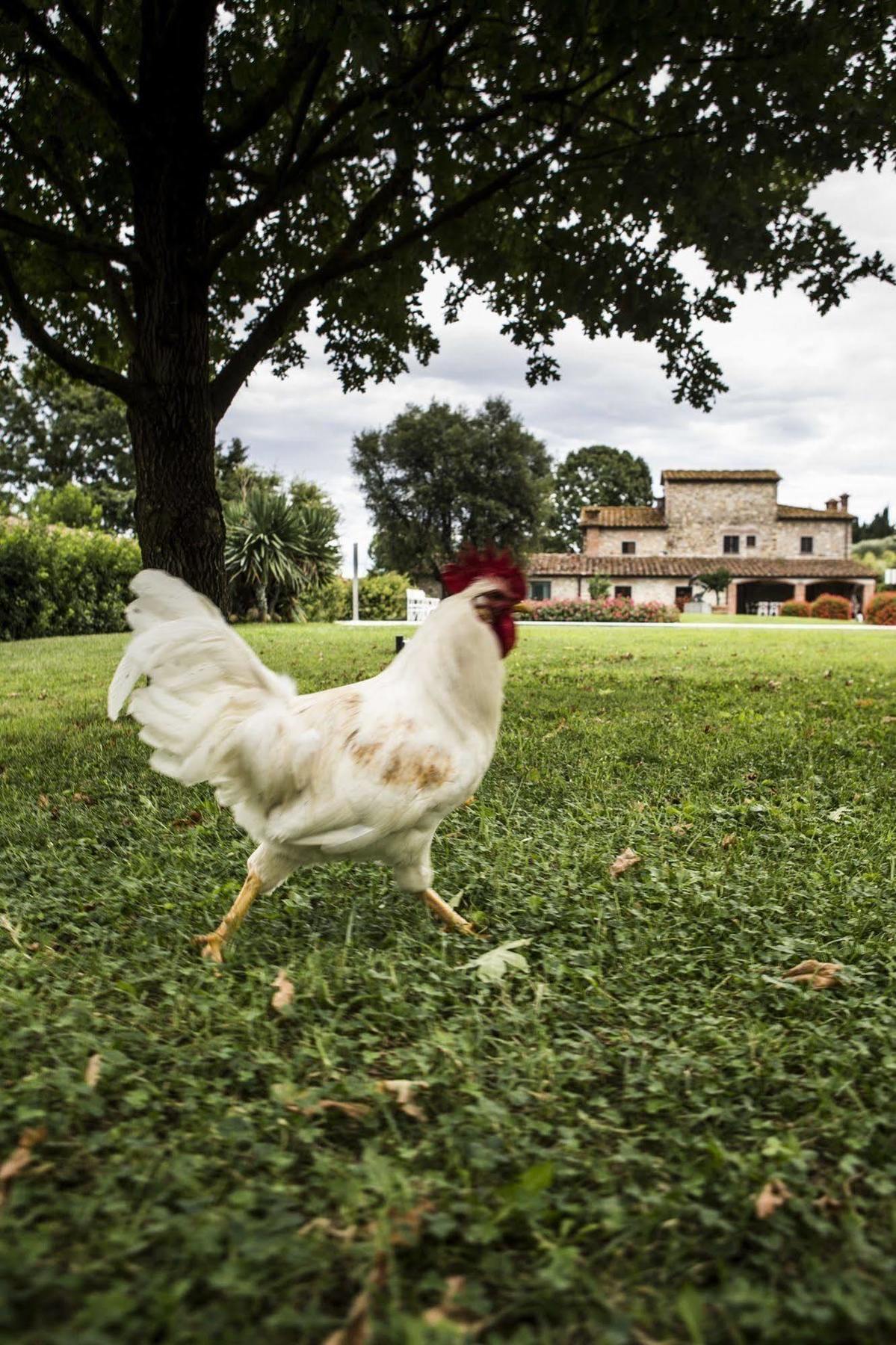 Agriturismo La Casa Di Rodo Quarrata Kültér fotó
